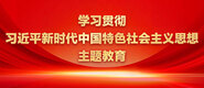 插入逼逼学习贯彻习近平新时代中国特色社会主义思想主题教育_fororder_ad-371X160(2)